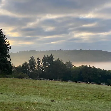Scheunen-loft Am Gelbachtal * Giershausen