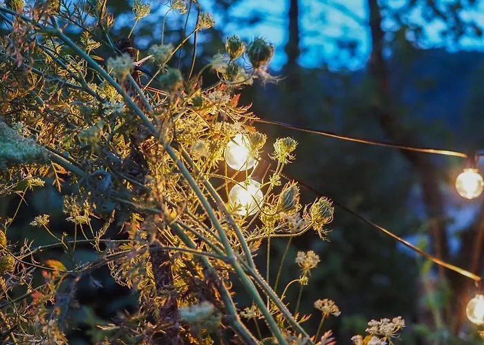 Scheunen-loft Am Gelbachtal *